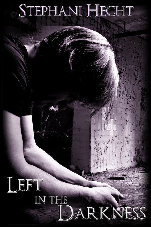 LeftInTheDarkness (2012) by Stephani Hecht