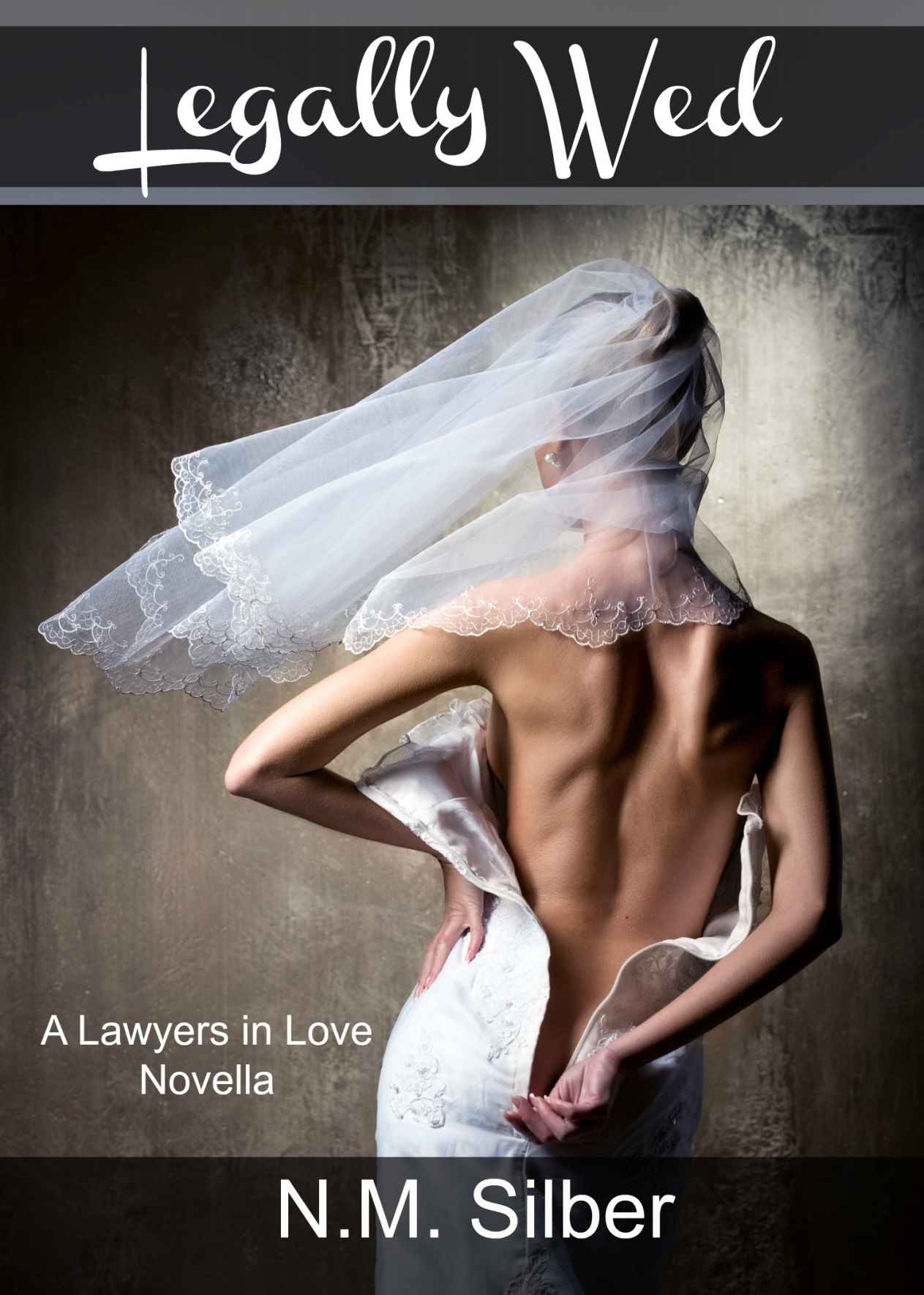 Legally Wed: A Lawyers in Love Novella by N.M. Silber