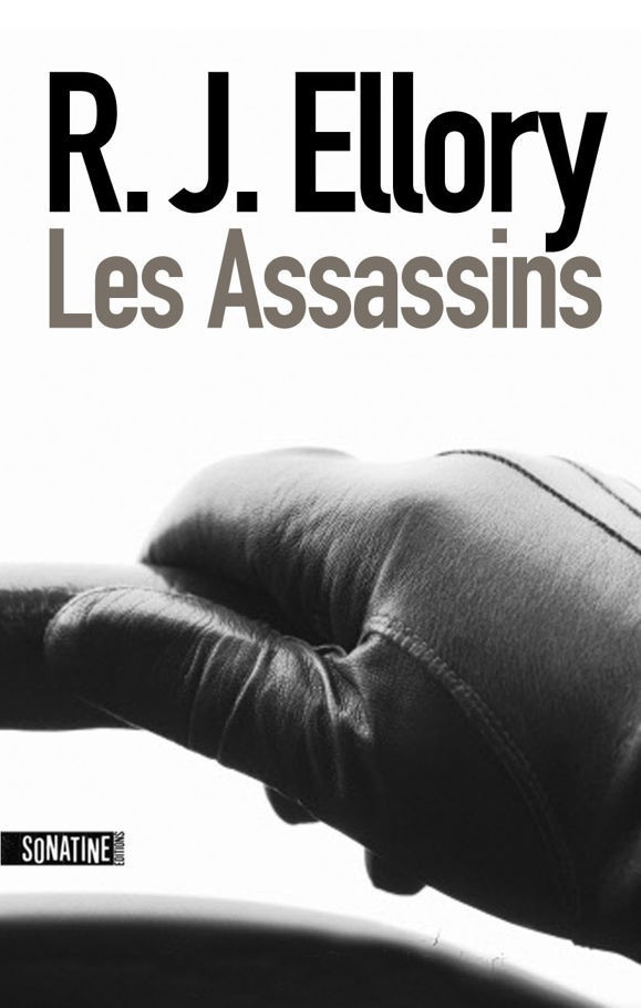 Les Assassins by R.J. Ellory