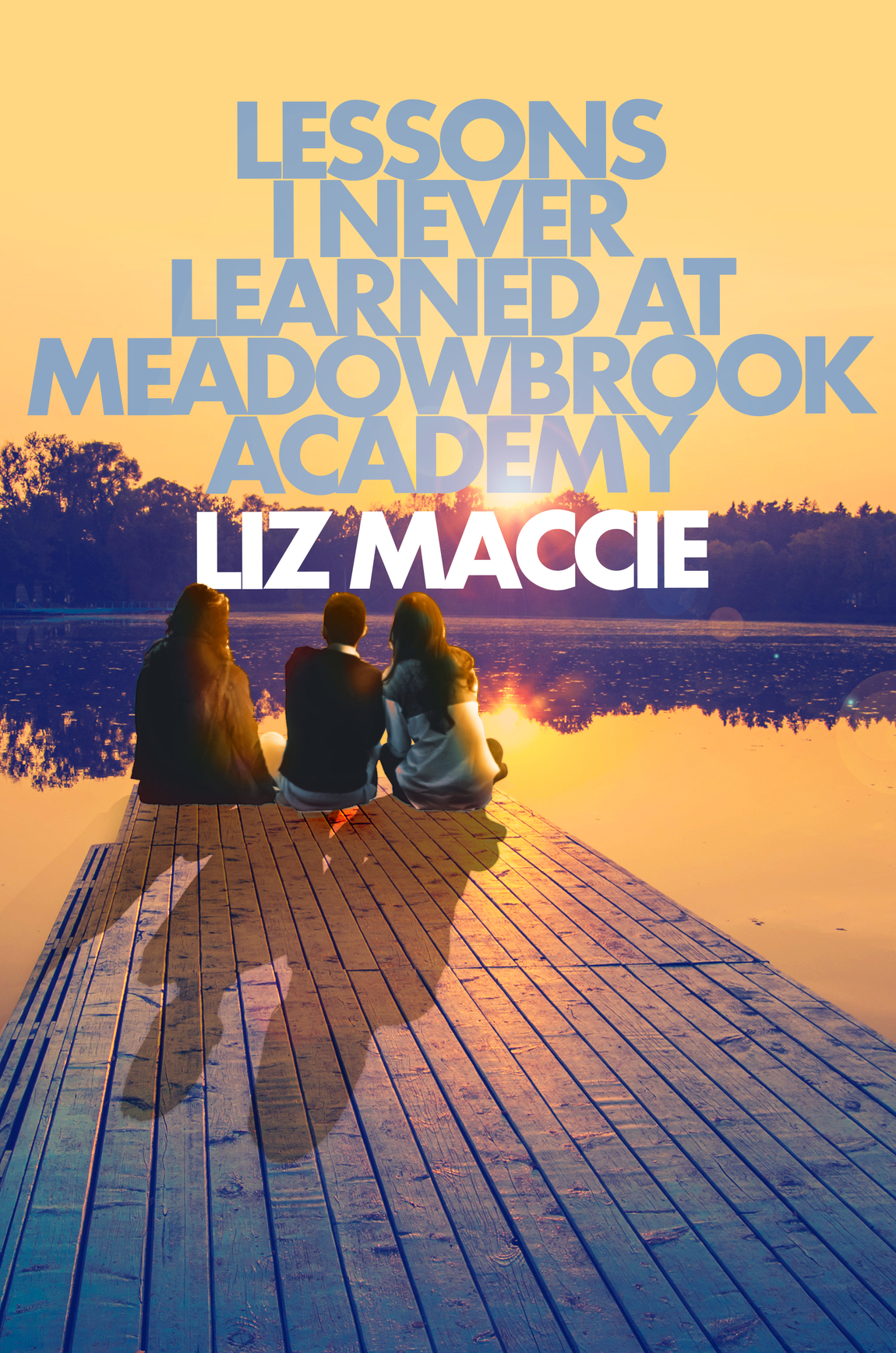 Lessons I Never Learned at Meadowbrook Academy (2014)