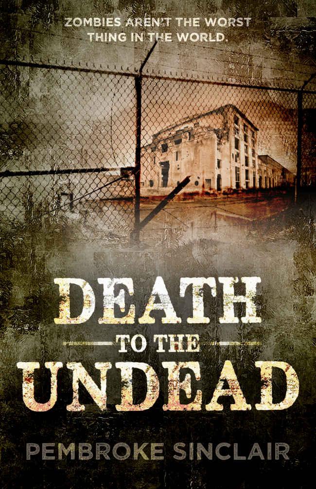 Life After The Undead (Book 2): Death to the Undead