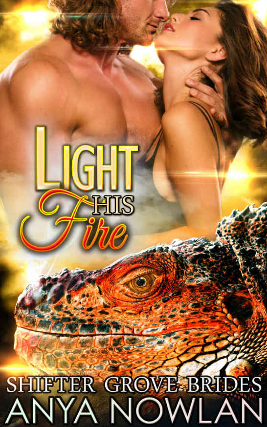 Light His Fire: Paranormal BBW Dragon Shifter Mail-Order Bride Romance by Anya Nowlan