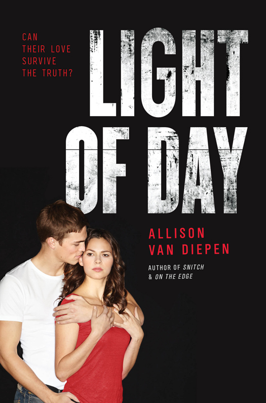 Light of Day (2015) by Allison van Diepen