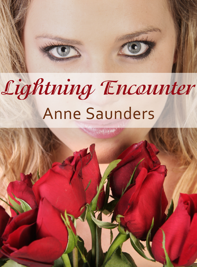 Lightning Encounter (2012) by Anne Saunders