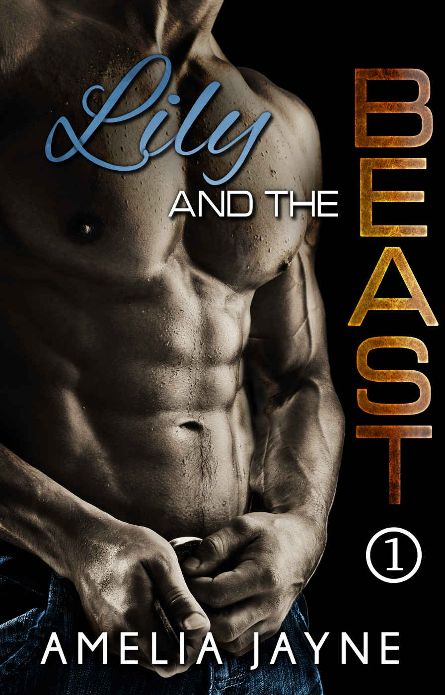 Lily and the Beast (Lily and the Beast #1) by Amelia Jayne