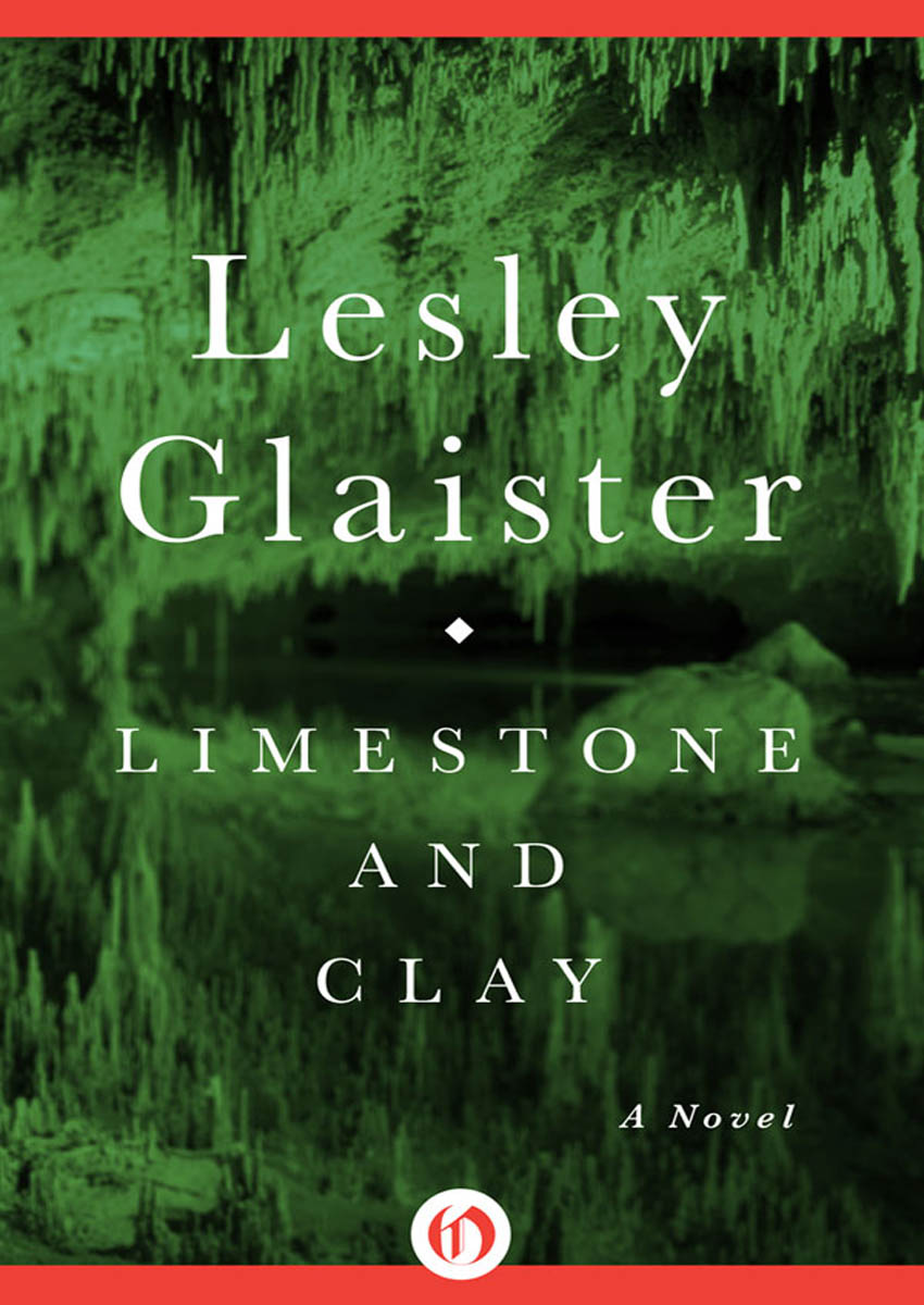 Limestone and Clay by Lesley Glaister