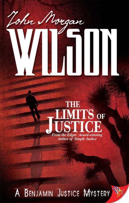 Limits of Justice, The by Wilson, John Morgan