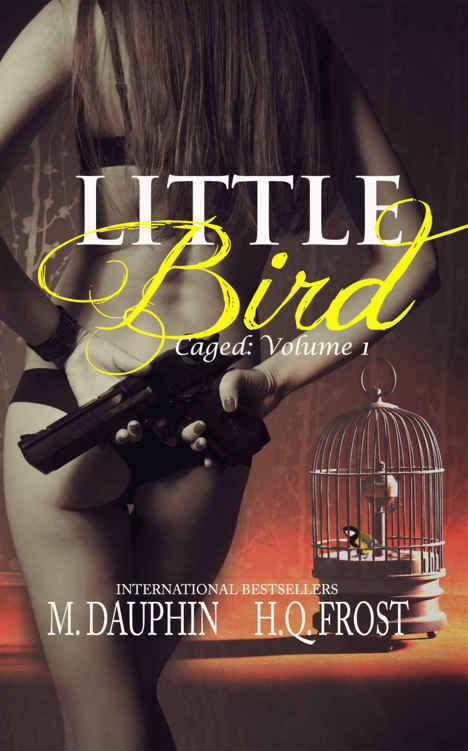 Little Bird (Caged #1) by M Dauphin