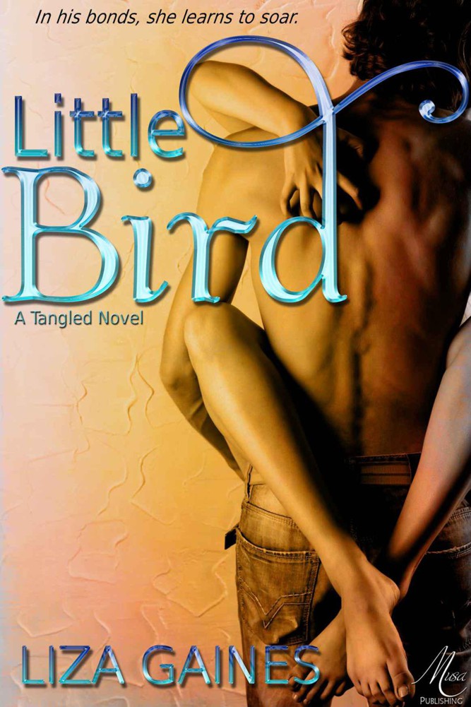 Little Bird (The Tangled Series) by Gaines, Liza