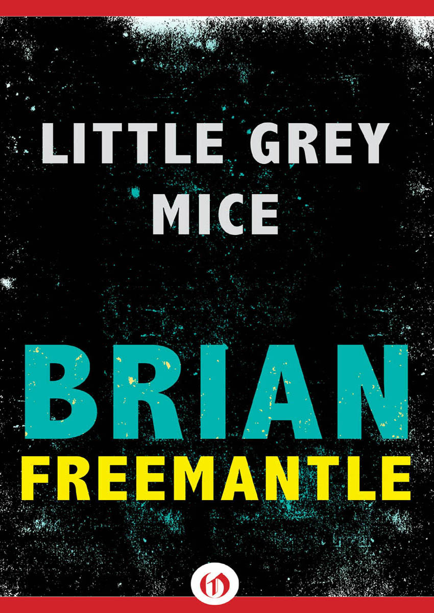 Little Grey Mice by Brian Freemantle