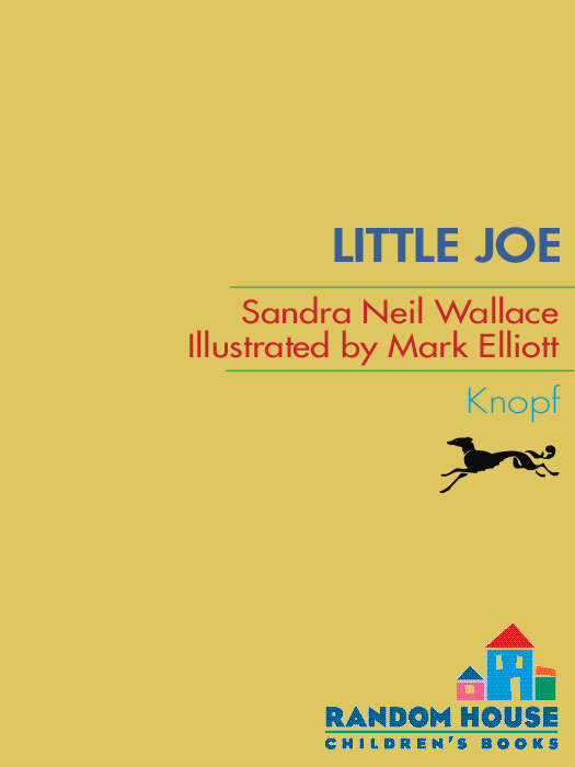 Little Joe (2010) by Sandra Neil Wallace