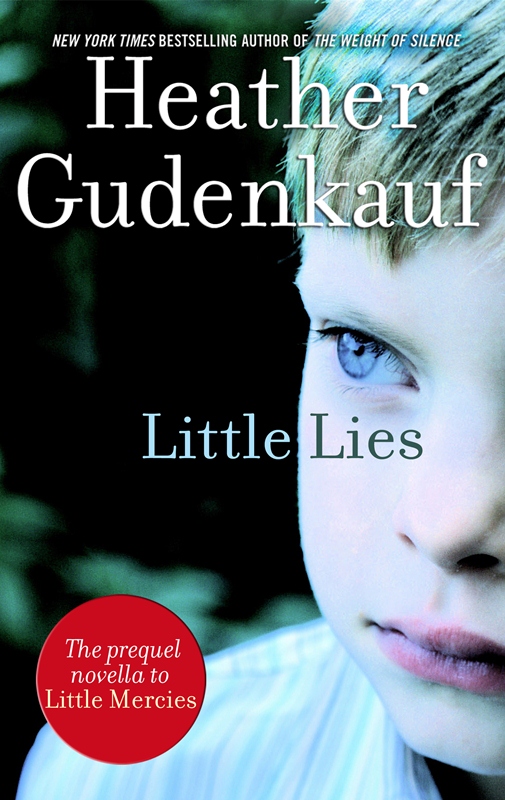 Little Lies (2014) by Heather Gudenkauf