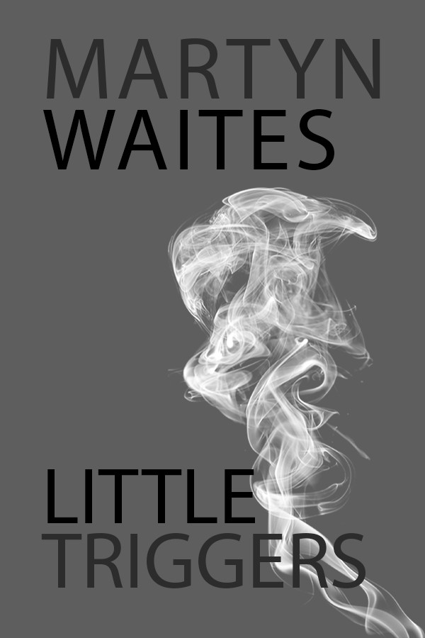 Little Triggers by Martyn Waites