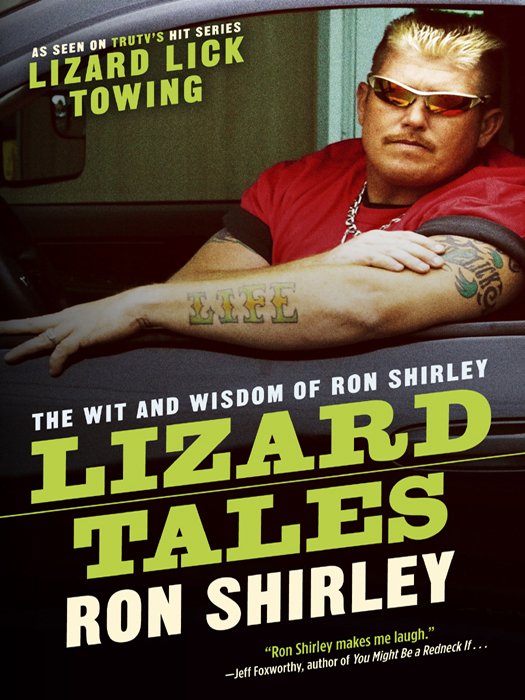 Lizard Tales (2012) by Ron Shirley