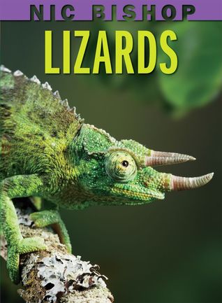 Lizards (2010) by Nic Bishop