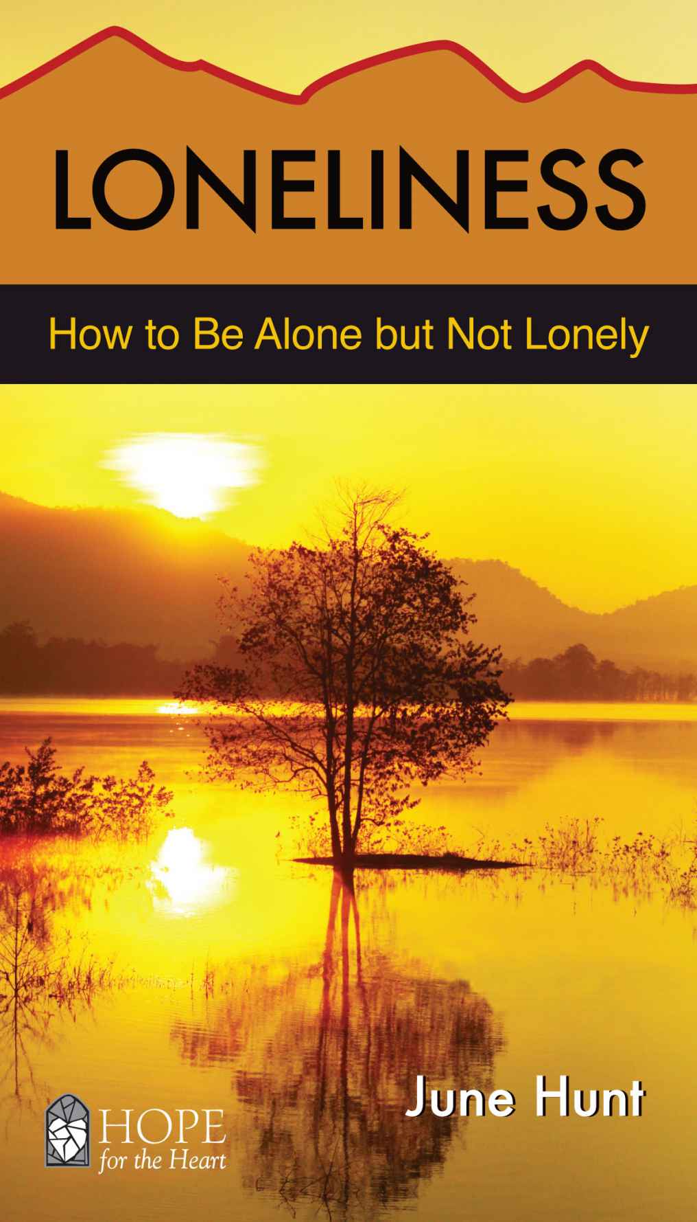 Loneliness (June Hunt Hope for the Heart) by Hunt, June