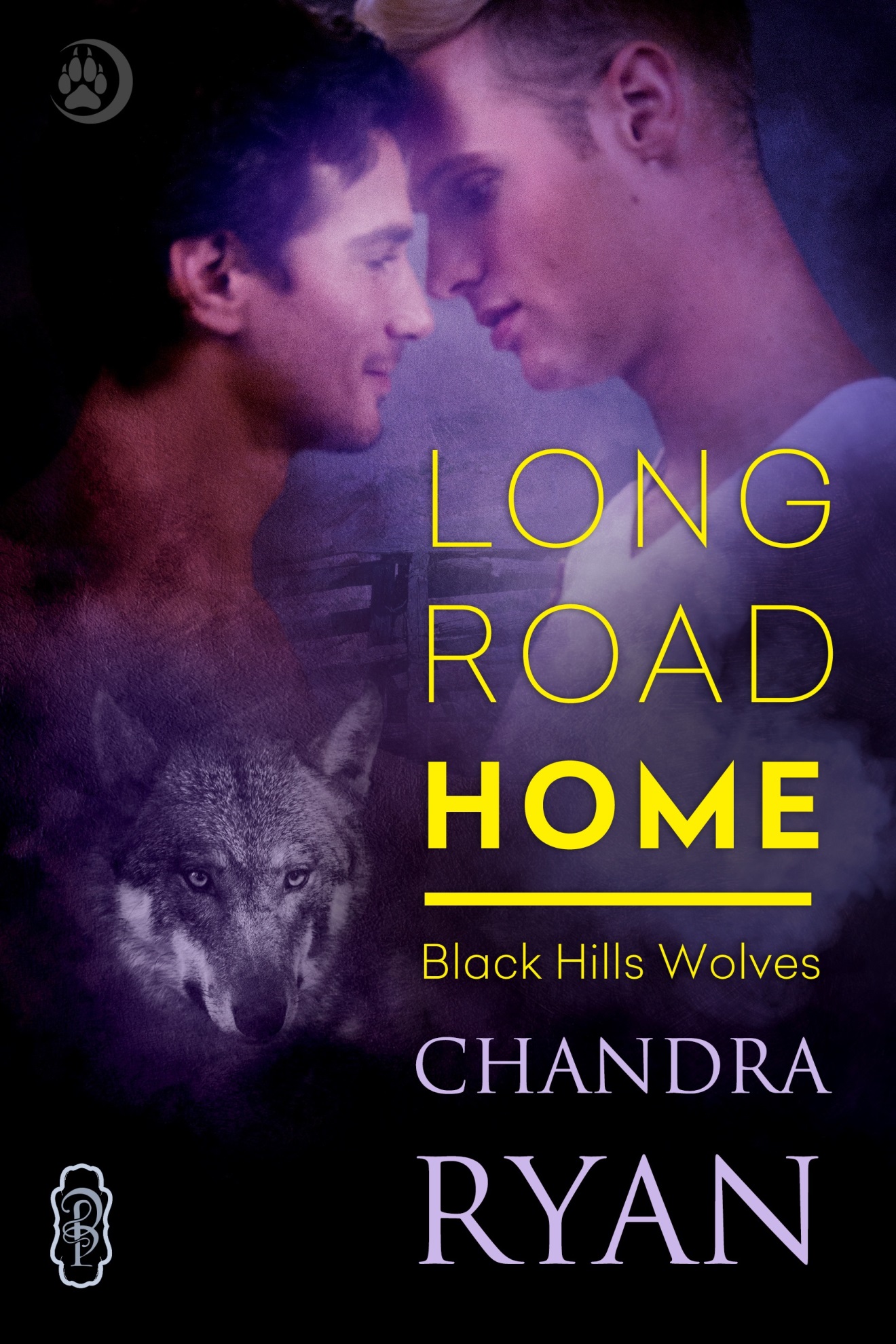 Long Road Home by Chandra Ryan