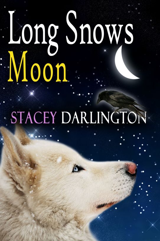 Long Snows Moon by Stacey Darlington