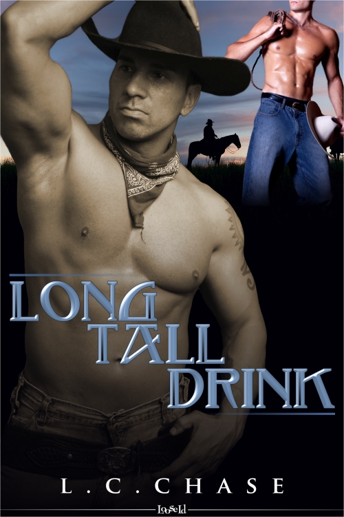 Long Tall Drink (2011) by L. C. Chase