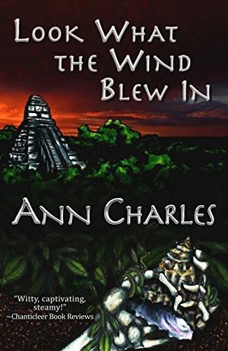 Look What the Wind Blew In by Ann Charles
