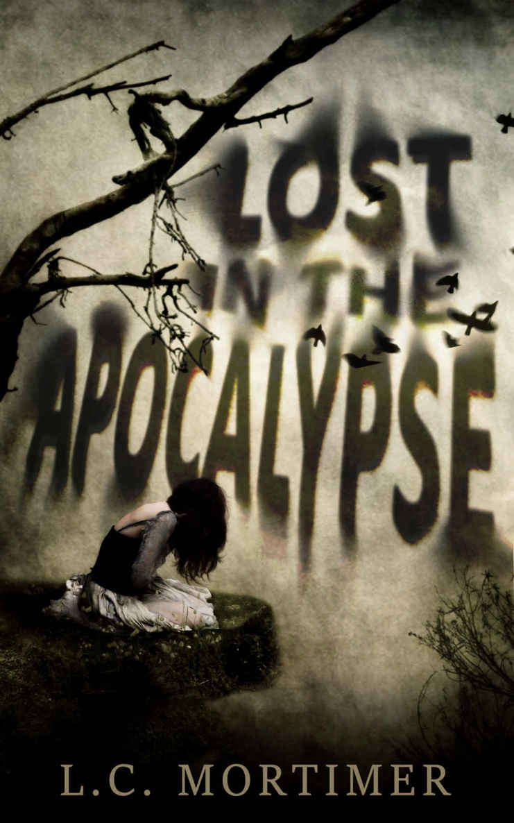 Lost in the Apocalypse by Mortimer, L.C.