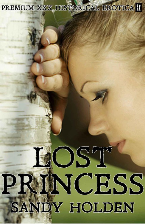 Lost Princess by Sandy Holden