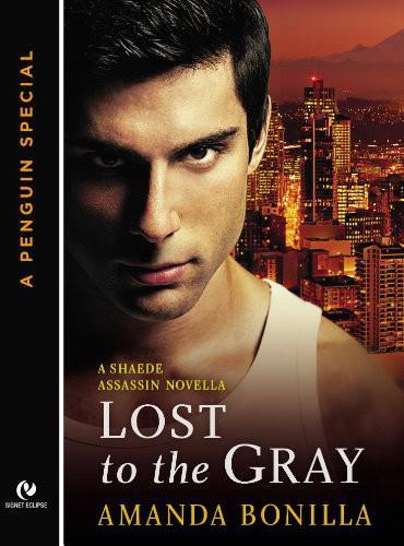 Lost to the Gray by Amanda Bonilla