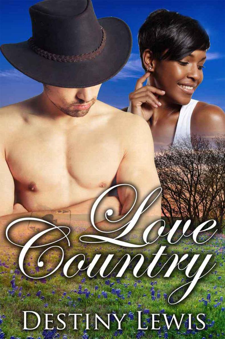 Love Country (BWWM Romance) by Destiny Lewis