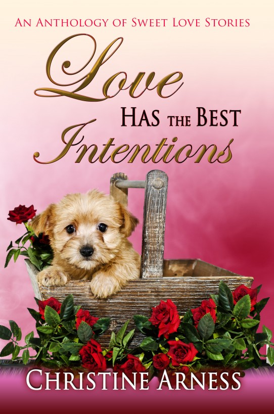 Love Has The Best Intentions