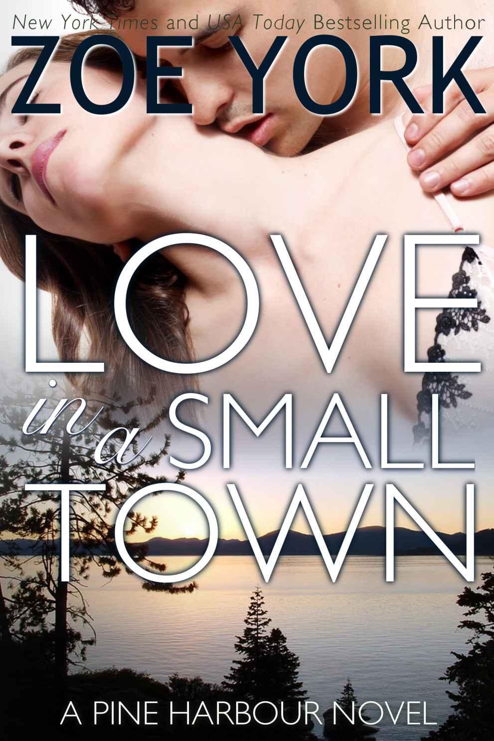 Love in a Small Town (Pine Harbour Book 1)