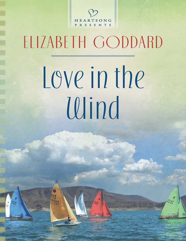 Love in the Wind (2014) by Elizabeth Goddard