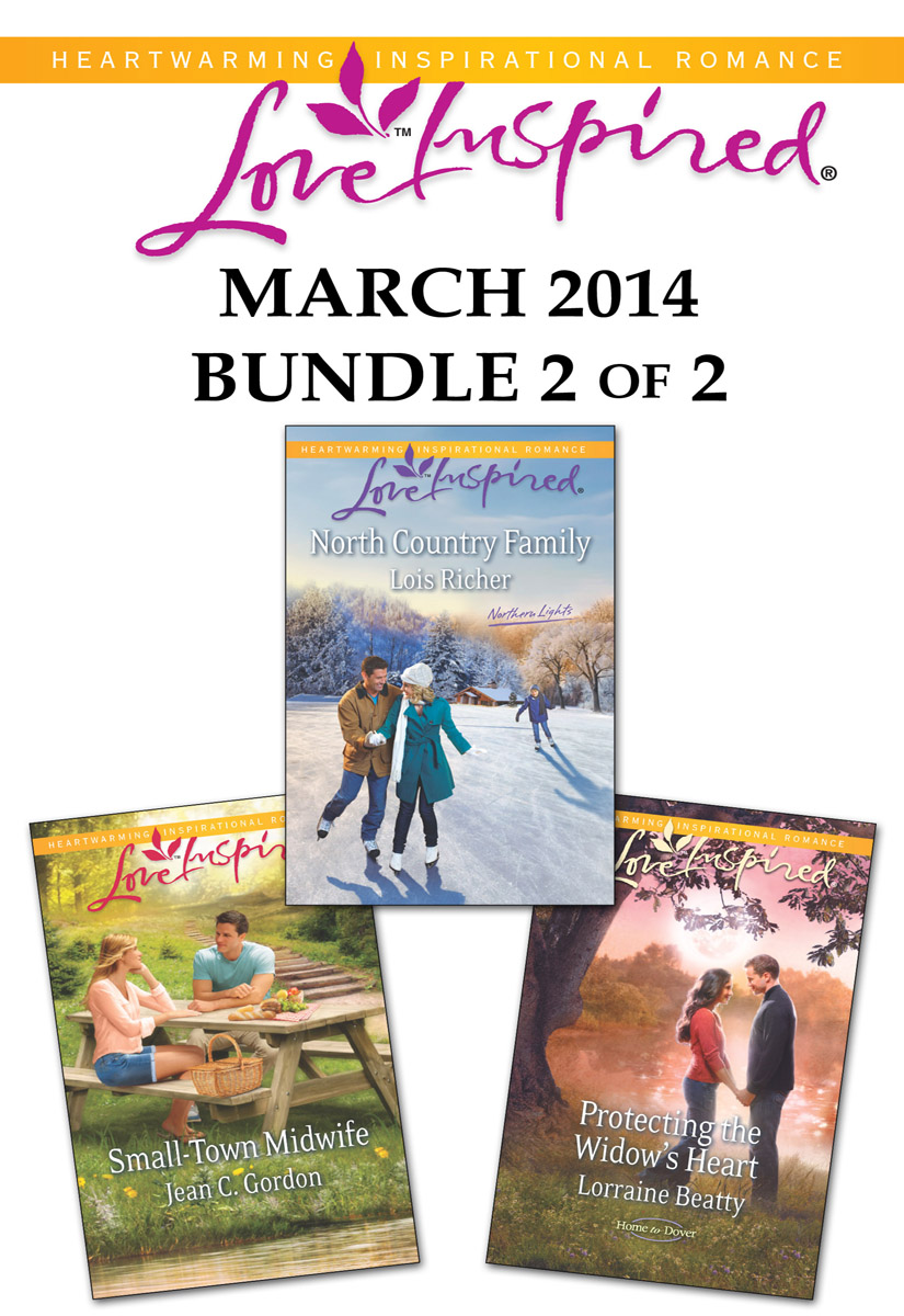 Love Inspired March 2014 - Bundle 2 of 2: North Country Family\Small-Town Midwife\Protecting the Widow's Heart (2014) by Lois Richer