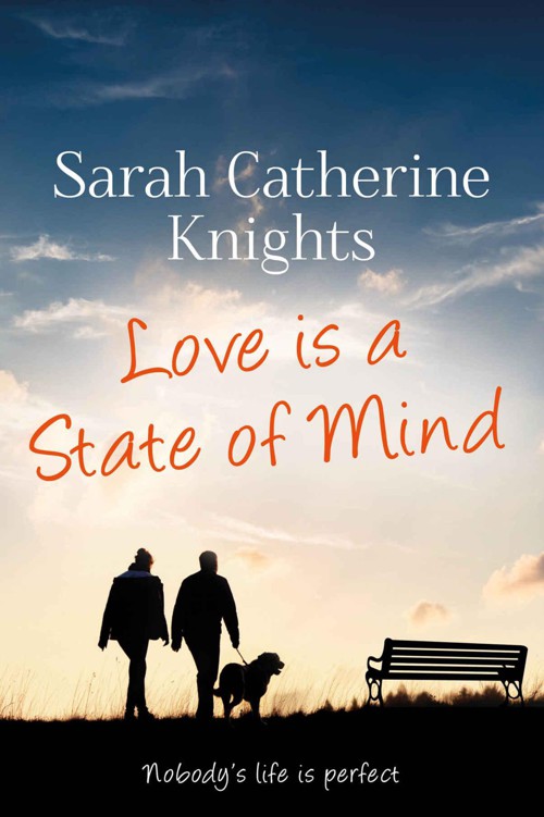 Love Is a State of Mind: Nobody's Life is Perfect by Knights, Sarah Catherine