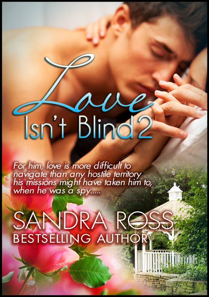 Love Isn't Blind 2 (2013) by Sweet and Special Books