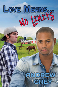 Love Means... No Limits (2013)