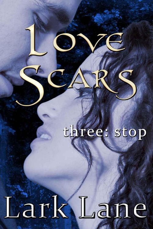 Love Scars - 3: Stop by Lark Lane