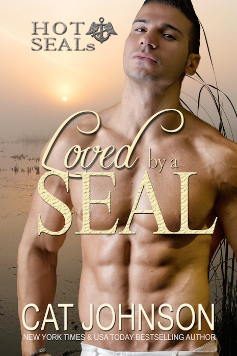 Loved by a SEAL (2015)