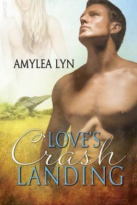 Love's Crash Landing (2012) by Amylea Lyn