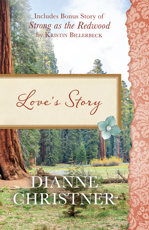 Love's Story (2000) by Christner, Dianne; Billerbeck, Kristin;