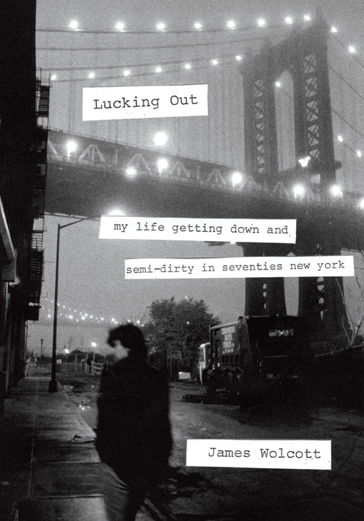 Lucking Out (2011) by James   Wolcott