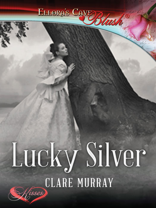 LuckySilver (2014) by Clare Murray