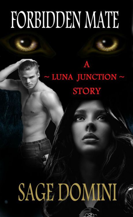 Luna Junction 2 Forbidden Mate (W) by Sage Domini