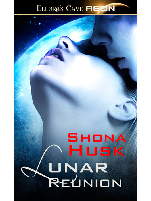 LunarReunion (2014) by Shona Husk