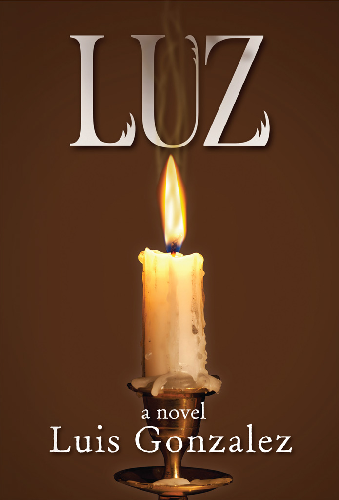 Luz: book i: comings and goings (Troubled Times 1)