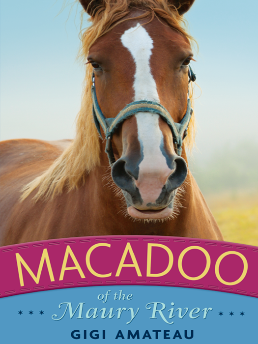 Macadoo of the Maury River (2013)