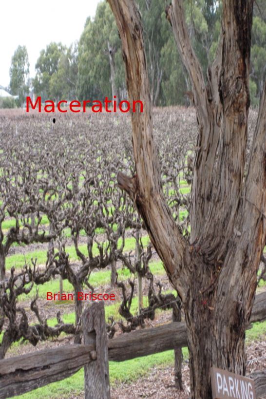 Maceration by Brian Briscoe