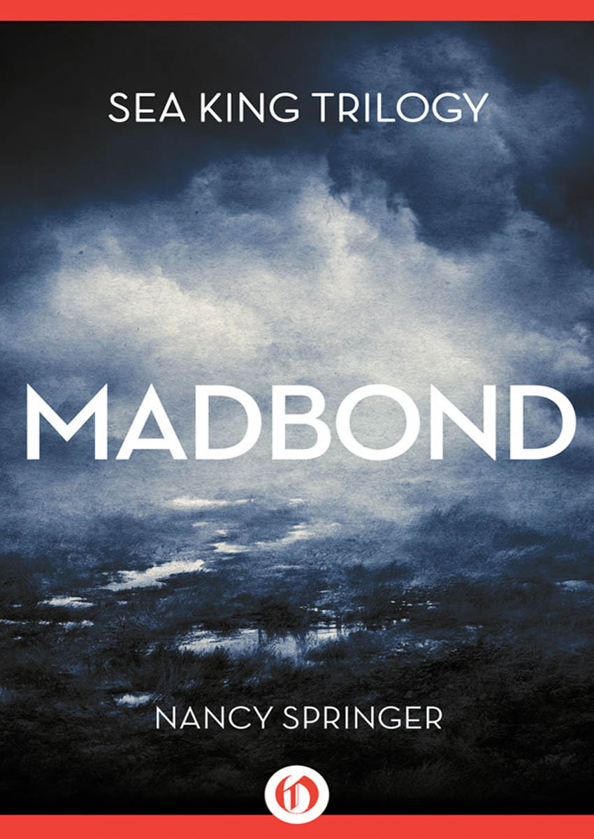 Madbond by Nancy Springer