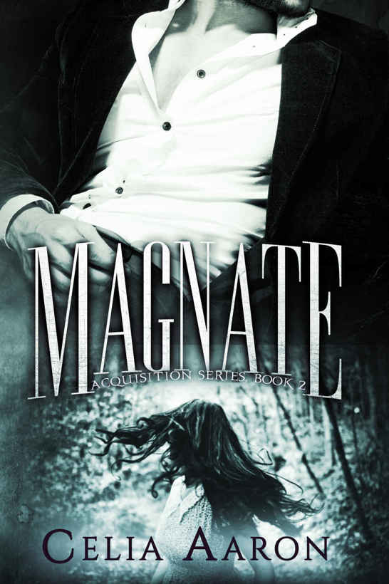 Magnate (Acquisition Series Book 2)