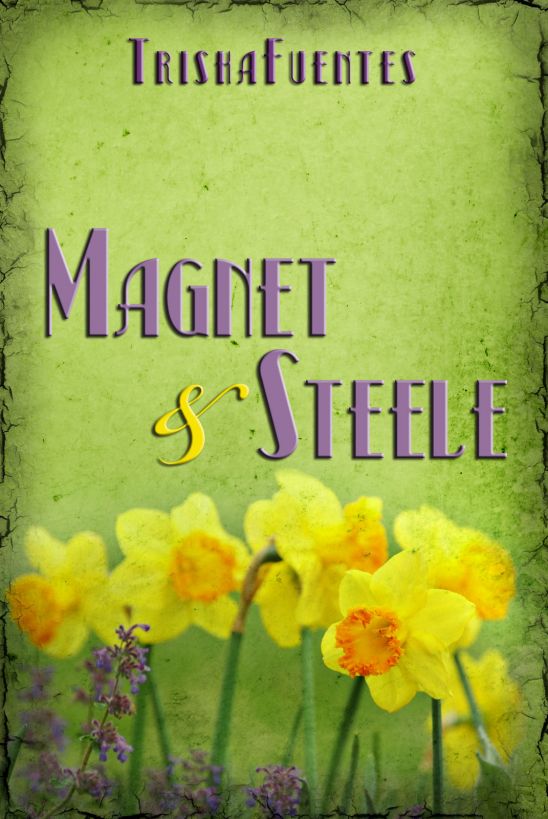 Magnet & Steele by Trisha Fuentes