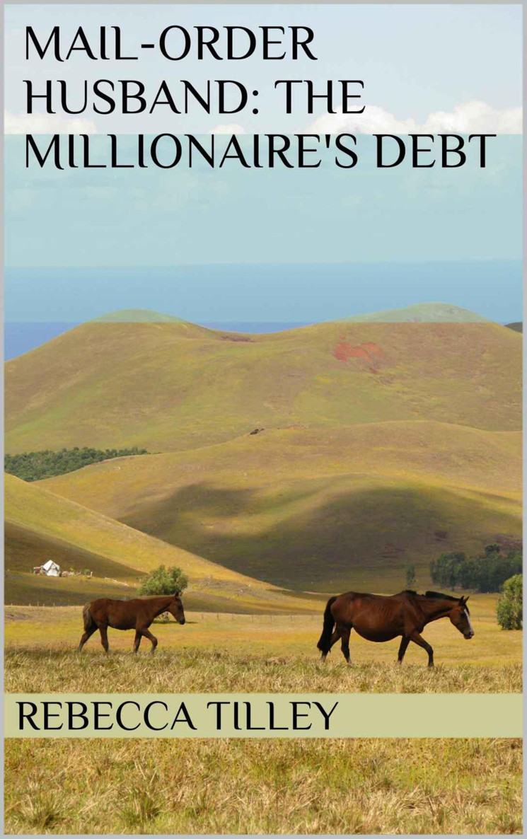 Mail-Order Husband: The Millionaire's Debt by Rebecca Tilley